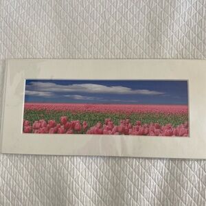 Keukenhof Garden Tulip Print